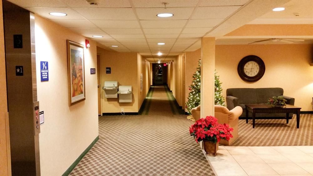 Hotel Quality Inn&suites I-10 2*